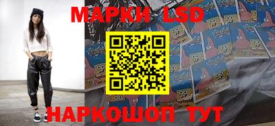 индика Ставрополь