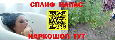 прущие крисы Гусев