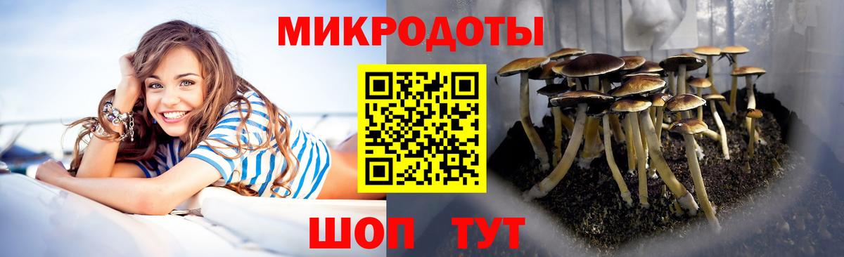 Псилоцибиновые грибы мицелий  Вход с VPN  Моздок  Псилоцибиновые грибы Psilocybine cubensis 